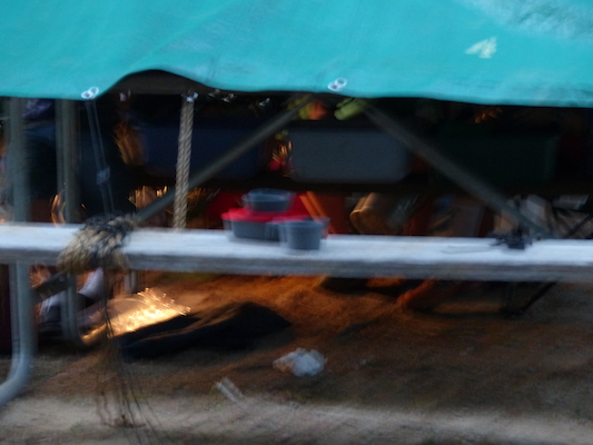 P1060368 (09-10-2016 18:58)