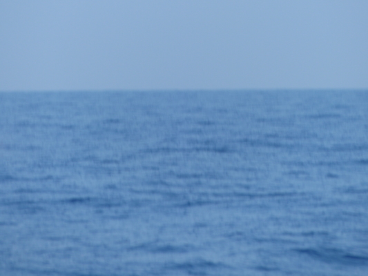 P1060393 (02-17-2017 15:19)