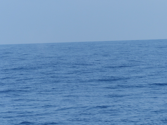 P1060395 (02-17-2017 15:20)