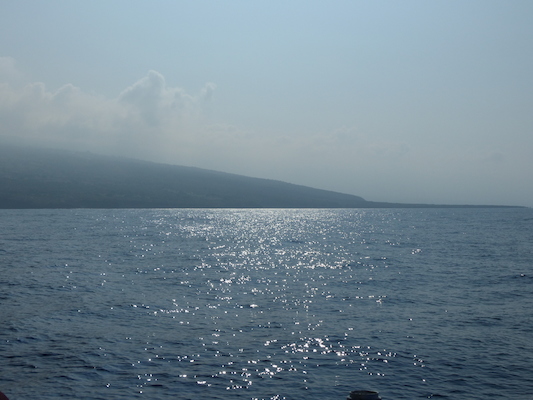 P1060398 (02-17-2017 15:39)