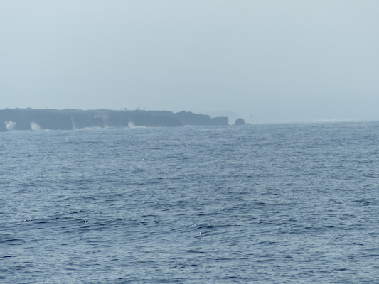 P1060399 (02-17-2017 15:41)