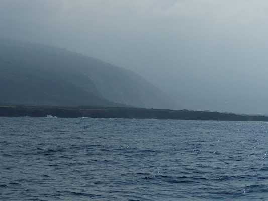 P1060401 (02-17-2017 15:48)