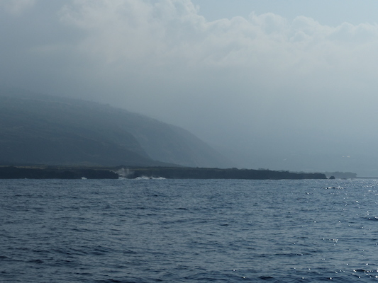 P1060402 (02-17-2017 15:48)