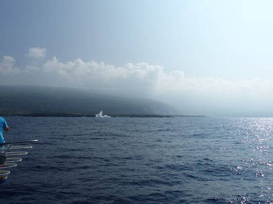 P1060403 (02-17-2017 15:51)