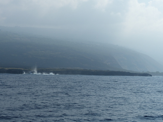 P1060404 (02-17-2017 15:51)