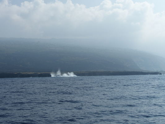 P1060405 (02-17-2017 15:51)