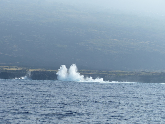 P1060406 (02-17-2017 15:51)