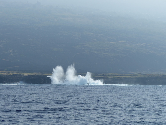 P1060407 (02-17-2017 15:51)