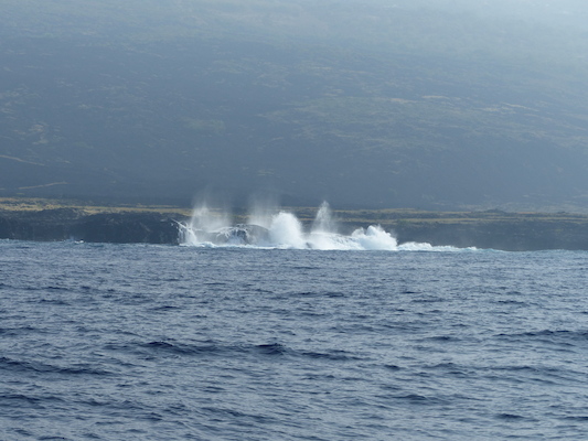 P1060408 (02-17-2017 15:51)