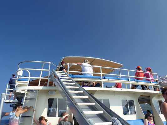 P1060410 (02-17-2017 15:51)