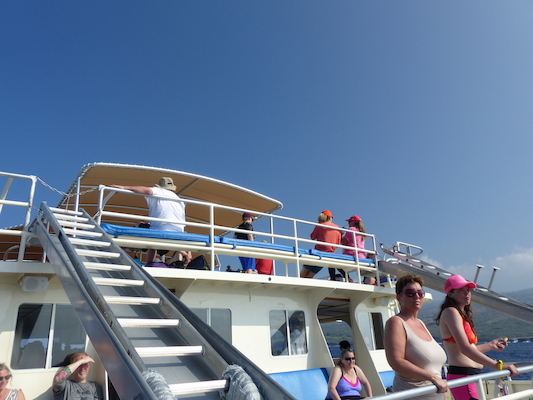 P1060411 (02-17-2017 15:51)