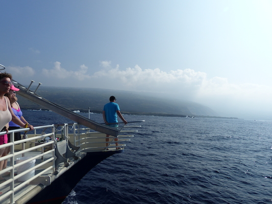 P1060412 (02-17-2017 15:51)