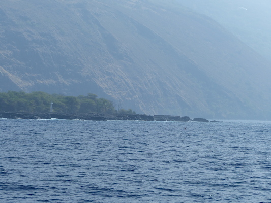 P1060417 (02-17-2017 16:00)