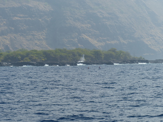 P1060418 (02-17-2017 16:00)