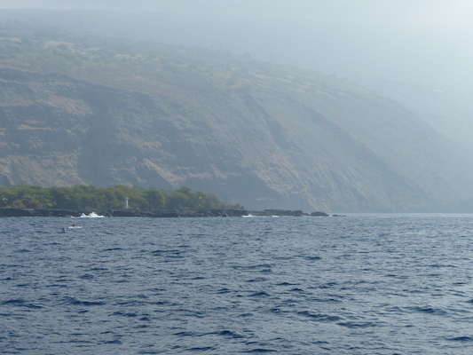 P1060420 (02-17-2017 16:00)