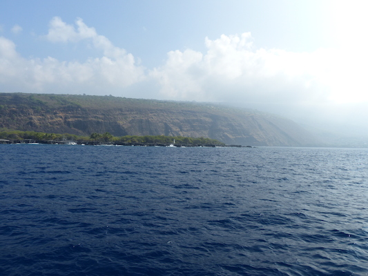 P1060421 (02-17-2017 16:01)