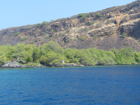 P1060425 (02-17-2017 16:05)