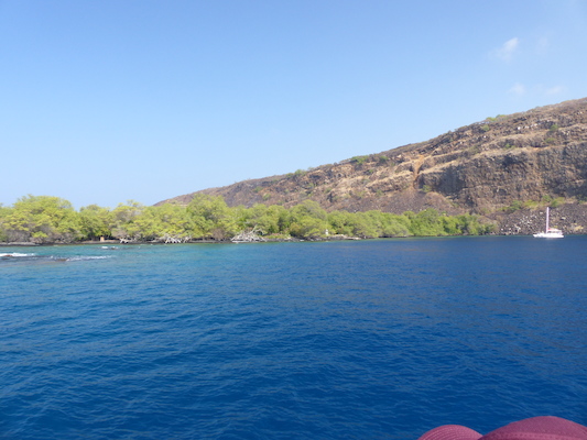 P1060426 (02-17-2017 16:05)