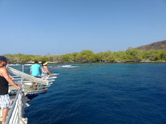 P1060428 (02-17-2017 16:05)