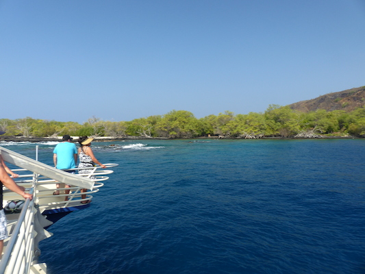 P1060429 (02-17-2017 16:05)