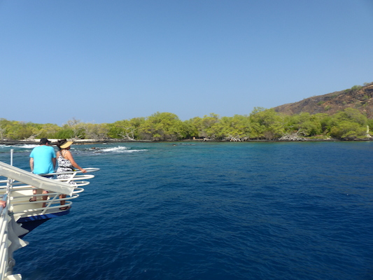 P1060430 (02-17-2017 16:05)