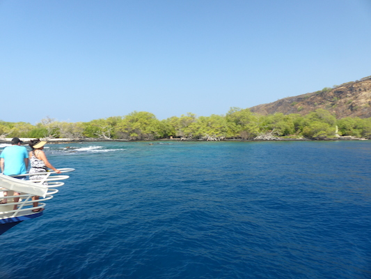 P1060431 (02-17-2017 16:05)