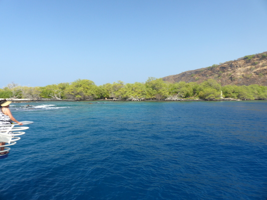 P1060432 (02-17-2017 16:05)