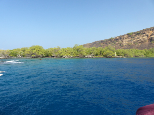 P1060433 (02-17-2017 16:05)