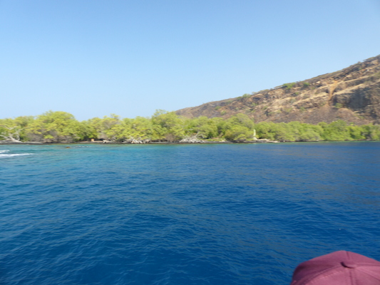 P1060434 (02-17-2017 16:05)