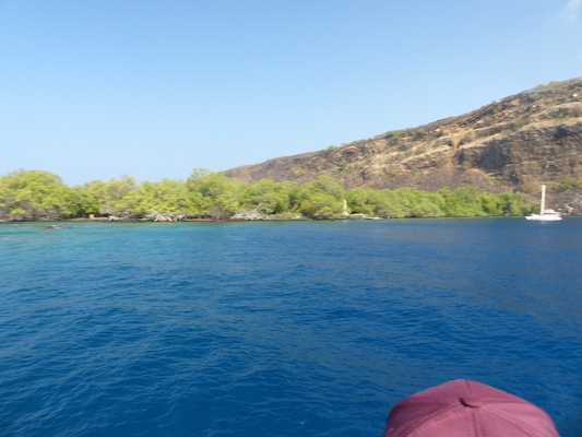 P1060435 (02-17-2017 16:05)