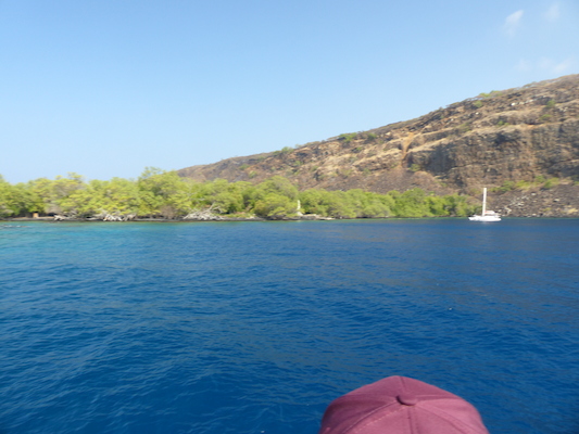 P1060436 (02-17-2017 16:05)