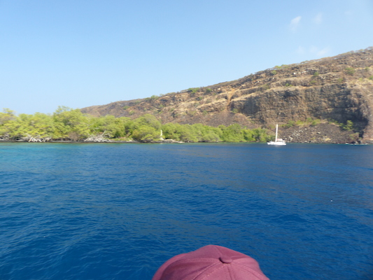 P1060437 (02-17-2017 16:05)