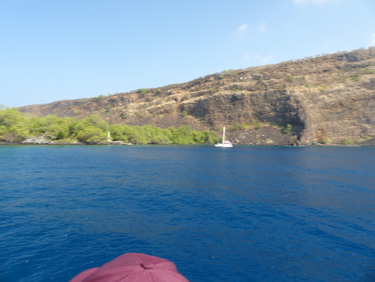 P1060438 (02-17-2017 16:05)