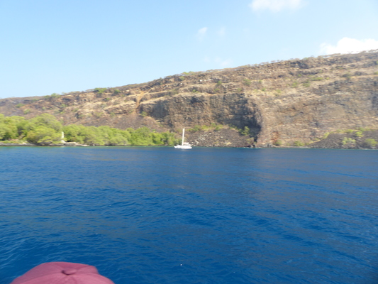 P1060439 (02-17-2017 16:05)