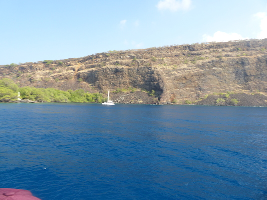 P1060440 (02-17-2017 16:05)