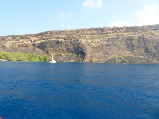 P1060441 (02-17-2017 16:05)