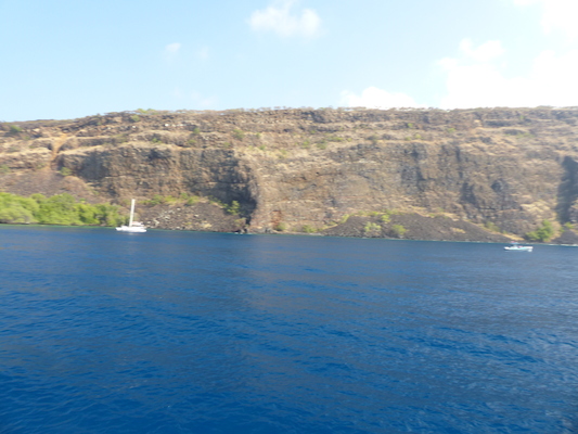 P1060442 (02-17-2017 16:05)