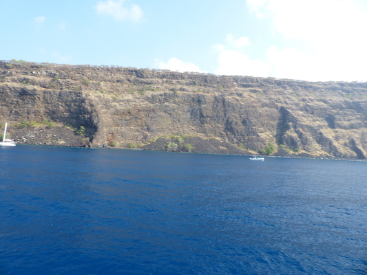 P1060443 (02-17-2017 16:05)