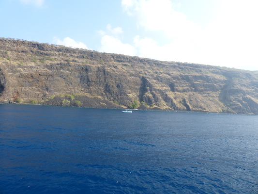 P1060444 (02-17-2017 16:05)