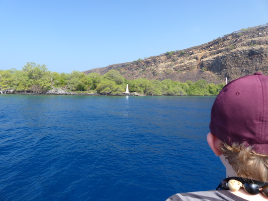 P1060445 (02-17-2017 16:06)