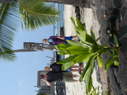 P1060449 (02-18-2017 12:15)