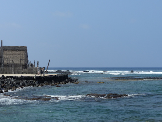 P1060455 (02-18-2017 12:15)