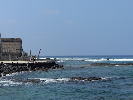 P1060456 (02-18-2017 12:15)