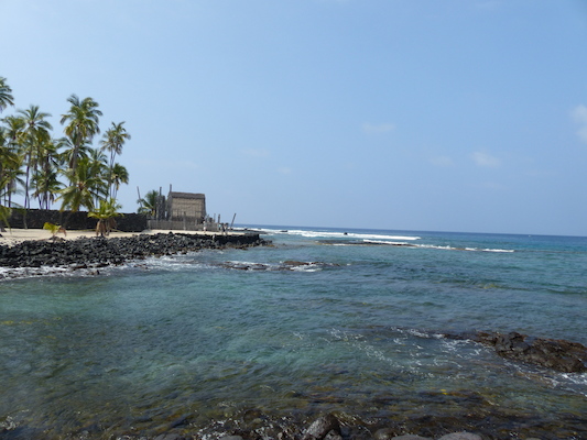 P1060457 (02-18-2017 12:15)