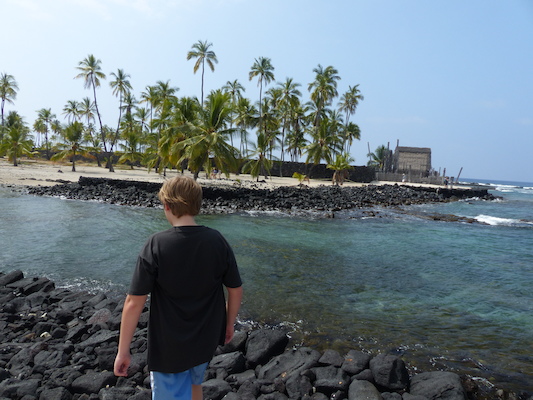 P1060458 (02-18-2017 12:15)