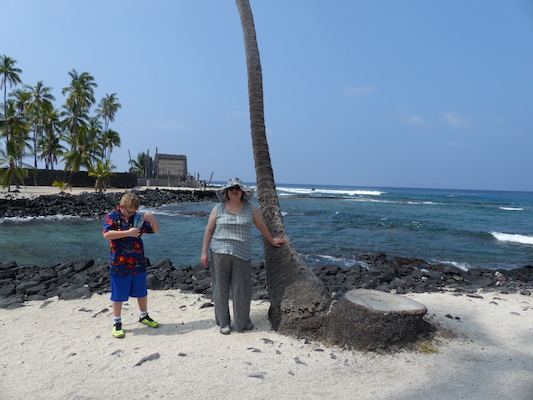 P1060460 (02-18-2017 12:16)