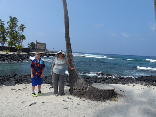 P1060461 (02-18-2017 12:16)