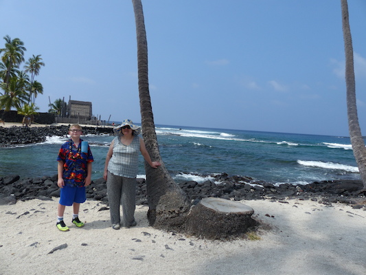 P1060462 (02-18-2017 12:16)