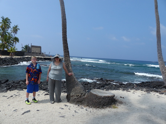 P1060463 (02-18-2017 12:16)