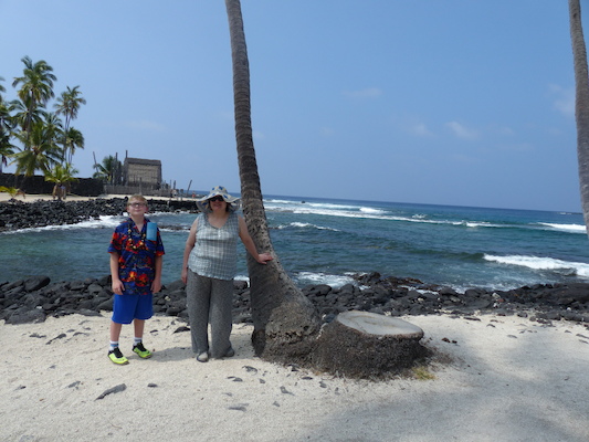 P1060464 (02-18-2017 12:16)